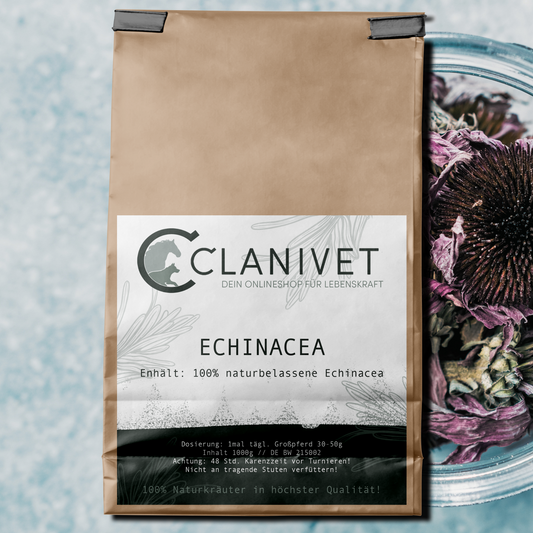 Clanivet Echinacea
